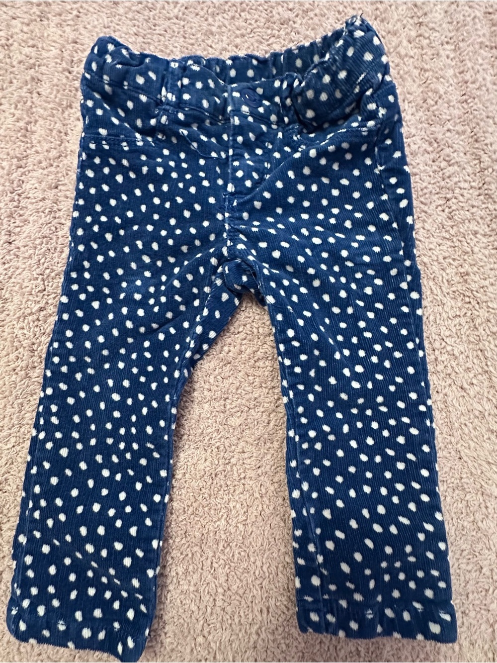 🐦 Gymboree Bird Top & Polka Dot Corduroy Pants Set 12-18M * - Picture 6 of 9